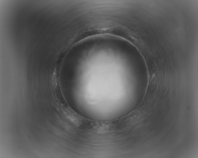 X0000071380772200606231245