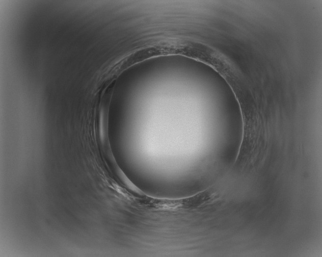 X0000071380773200606231245