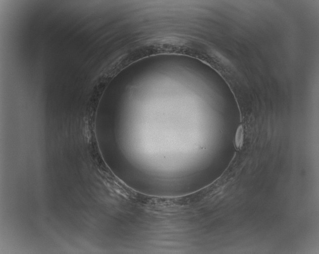 X0000071380774200606231245