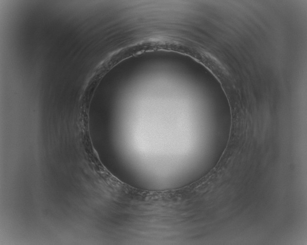 X0000071380776200606231245