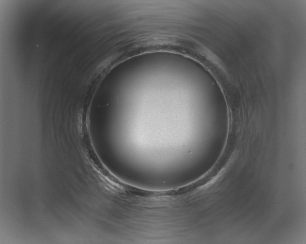 X0000071380777200606231245