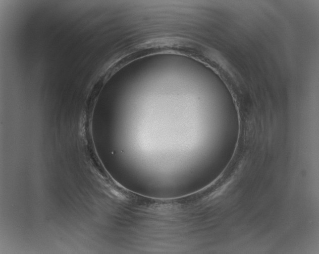X0000071380778200606231245
