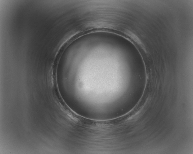 X0000071380782200606231245