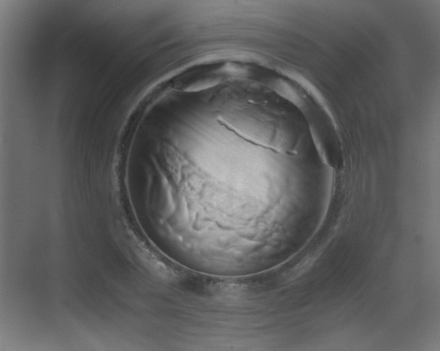 X0000071380783200606231245