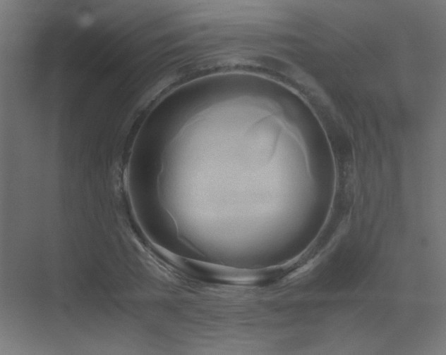 X0000071380785200606231245