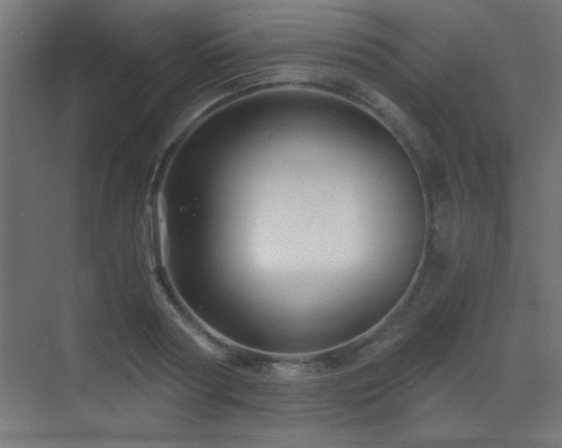 X0000071380794200606231244