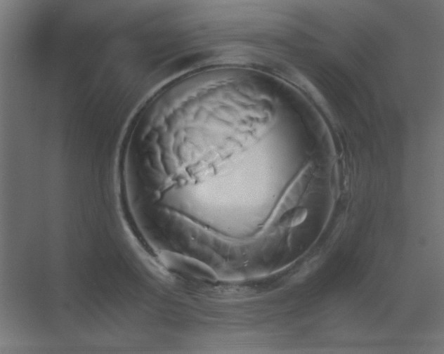 X0000071380795200606231244