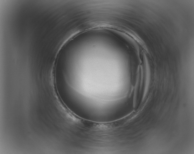 X0000071380806200606231244