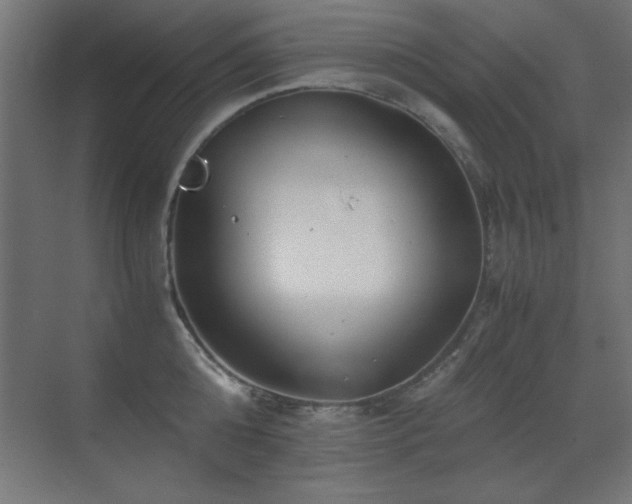 X0000071380808200606231244