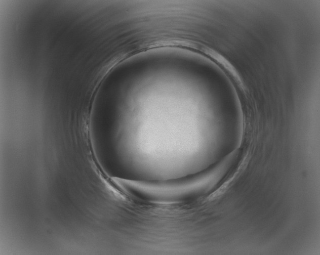 X0000071380809200606231244