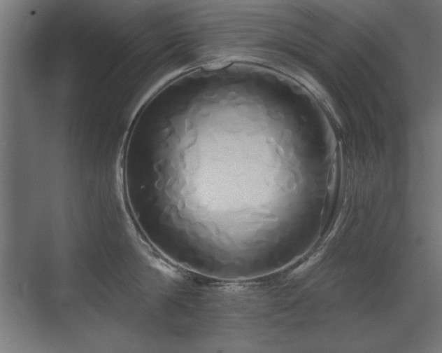 X0000071380814200606231244