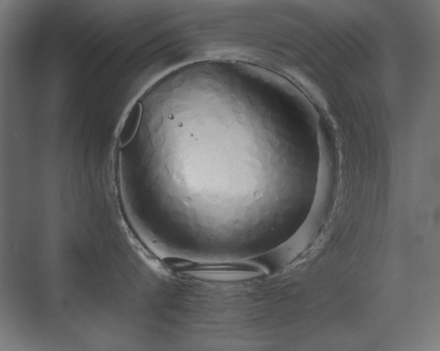 X0000071380816200606231244