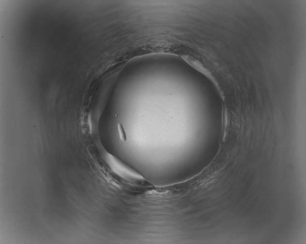 X0000071380818200606231243