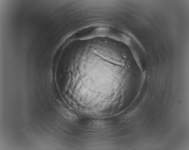 X0000071380829200606231243