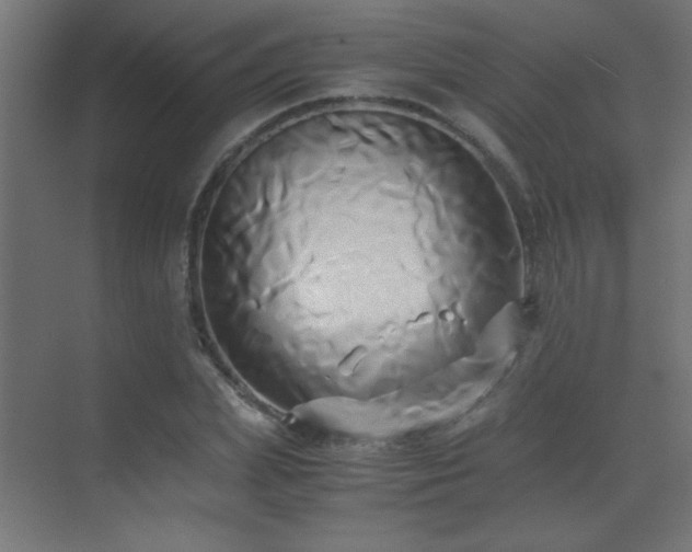 X0000071380831200606231243