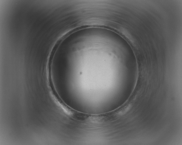 X0000071380840200606231244