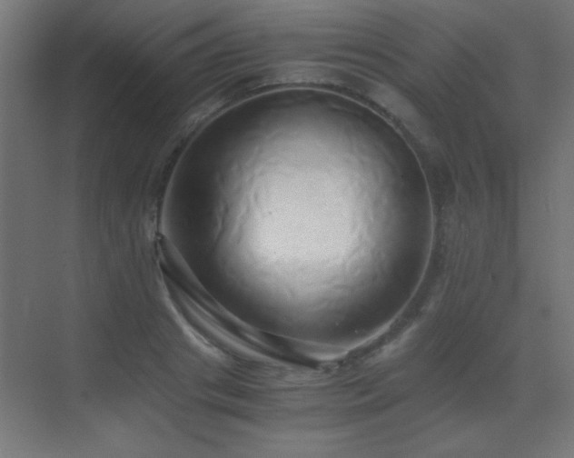 X0000071380841200606231244