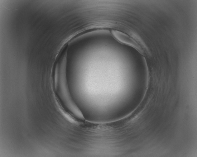 X0000071380842200606231244