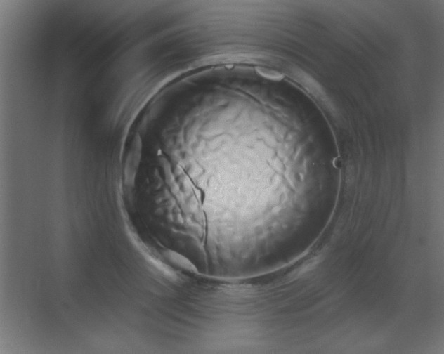 X0000071380844200606231244
