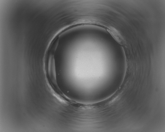 X0000071380846200606231244