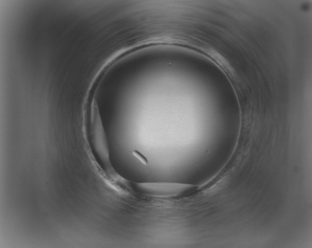 X0000071380854200606231244