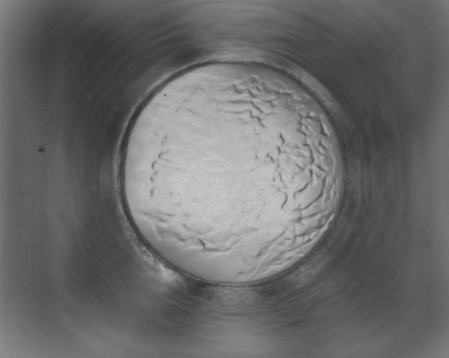 X0000071380856200606231244