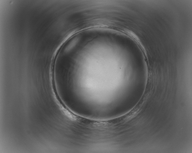 X0000071380859200606231244