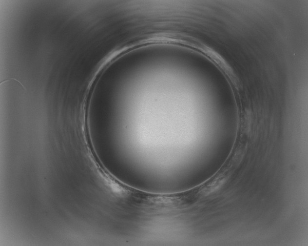 X0000071380862200606231244