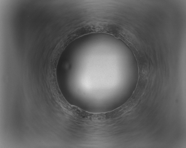 X0000071380865200606231243