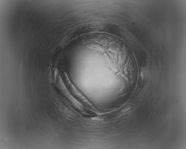 X0000071380867200606231243