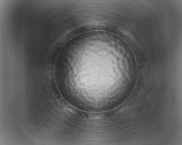 X0000071380870200606231243