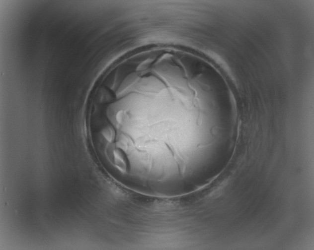 X0000071380887200606231243