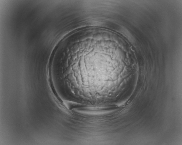 X0000071380891200606231243