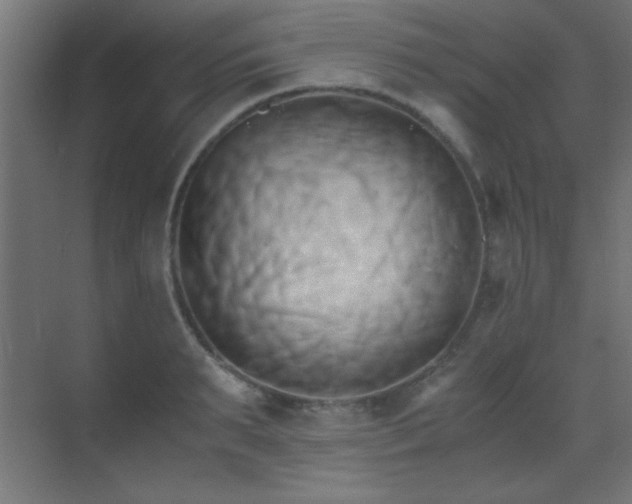 X0000071380895200606231243