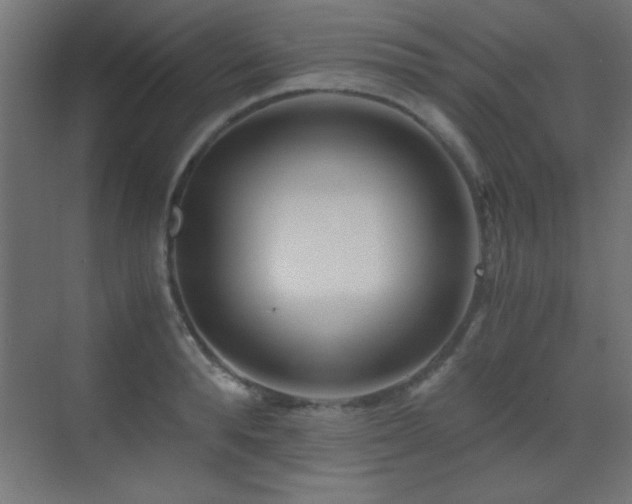 X0000071380896200606231243