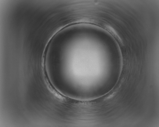 X0000071380900200606231243