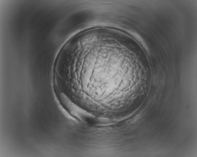 X0000071380903200606231243