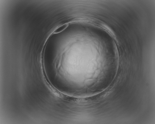 X0000071380907200606231243