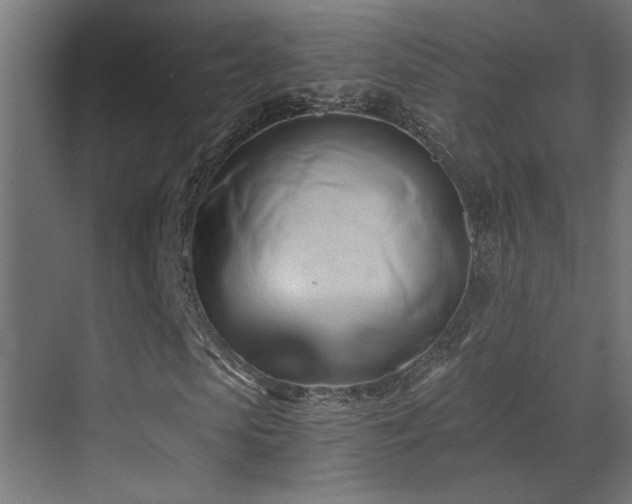 X0000071380913200606231242