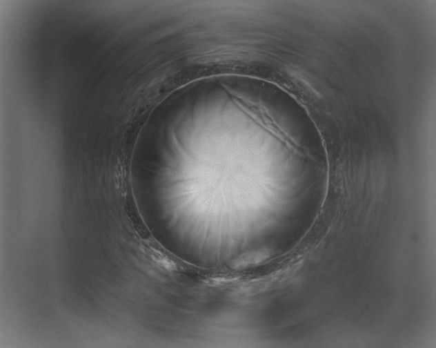 X0000071380917200606231242