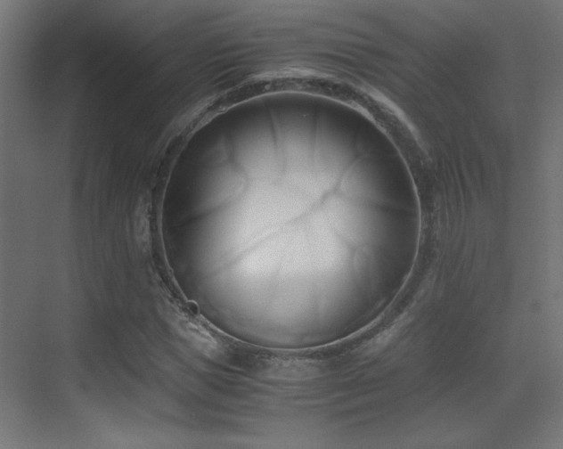X0000071380921200606231242