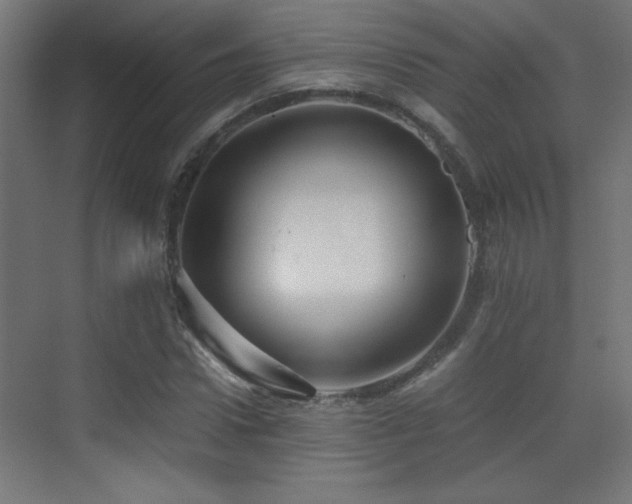 X0000071380922200606231242
