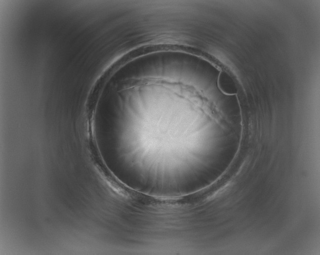 X0000071380925200606231242