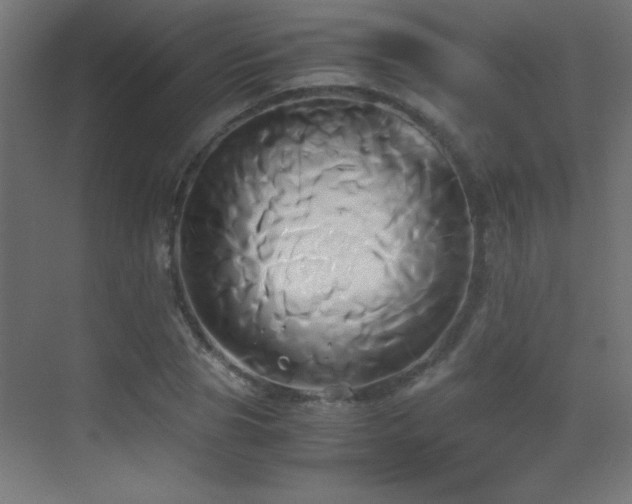 X0000071380929200606231242