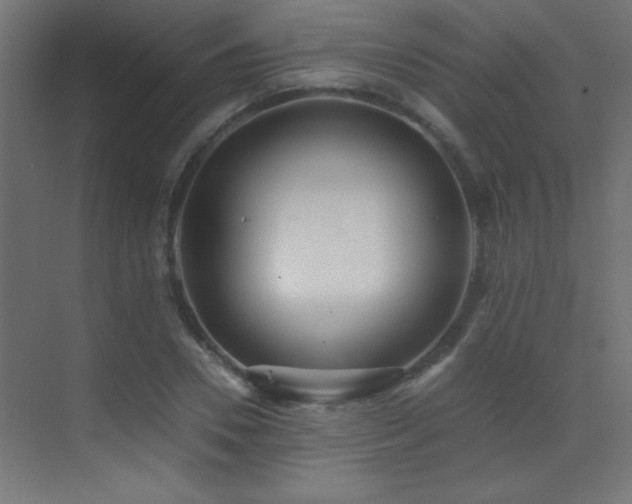 X0000071380930200606231242