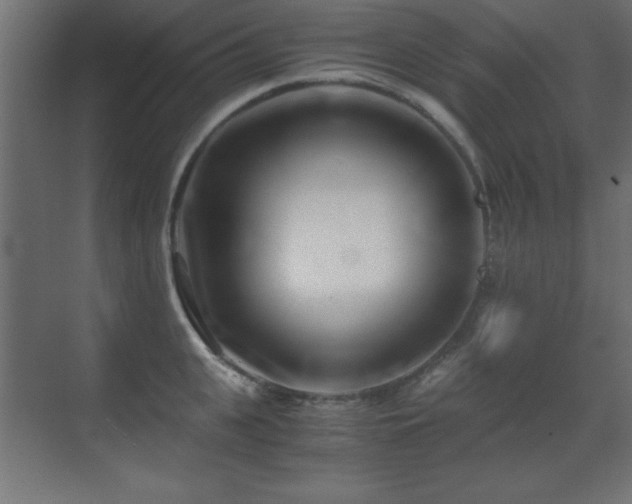 X0000071380951200606231242