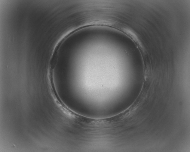 X0000071380952200606231242