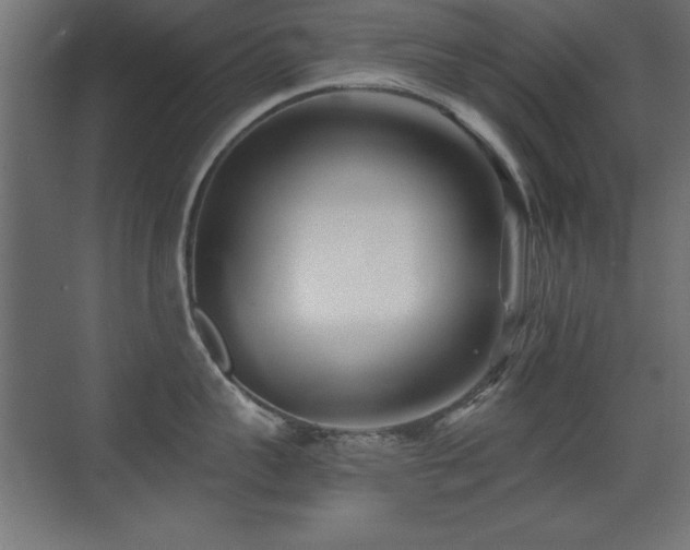X0000071380959200606231242