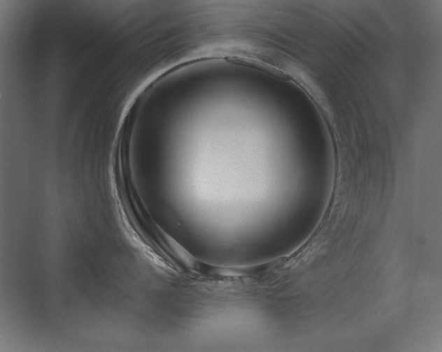 X0000071380960200606231242
