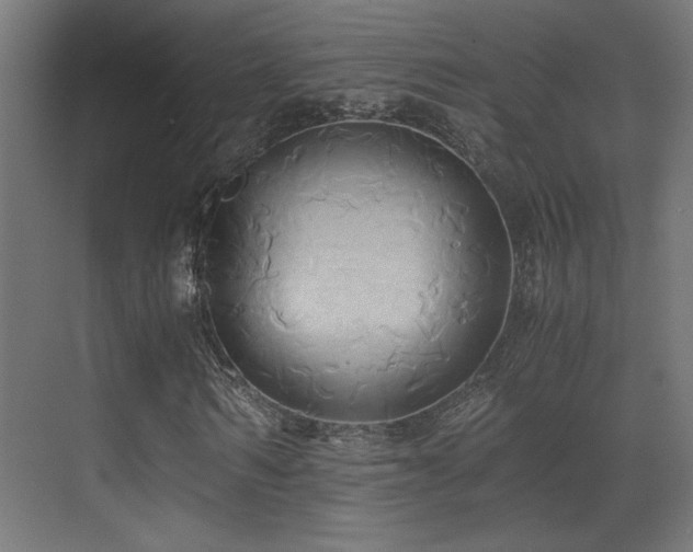 X0000071380962200606231242